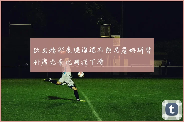 狄龙精彩表现逼退布朗尼詹姆斯替补席无奈比拇指下滑