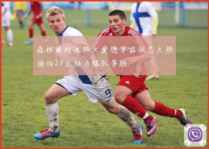 森林狼对决热火爱德华兹状态火热场均29分助力球队争胜